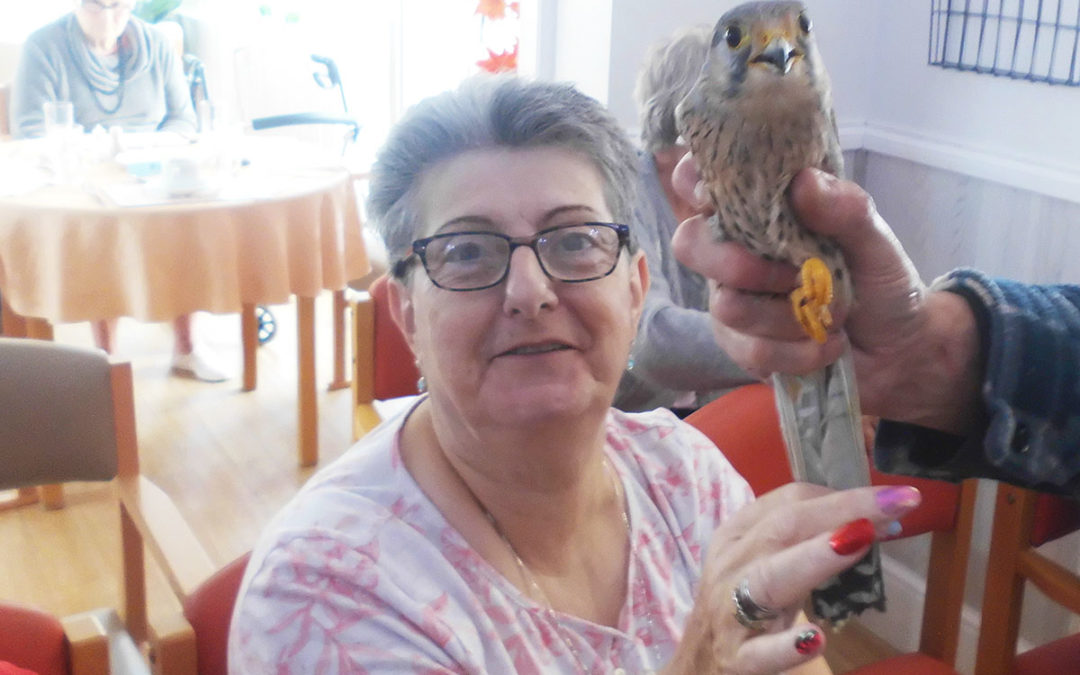 Birds of prey visit Woodstock Residential Care Home