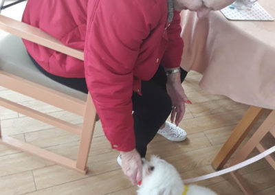 Seated resident bending down to make a fuss of Lola, a Pets As Therapy dog