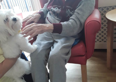 Resident stroking pet therapy dog Lola