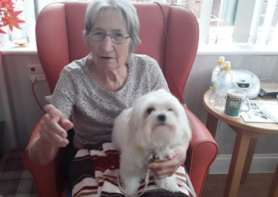 Pets As Therapy dog Lola on a lady resident's lap