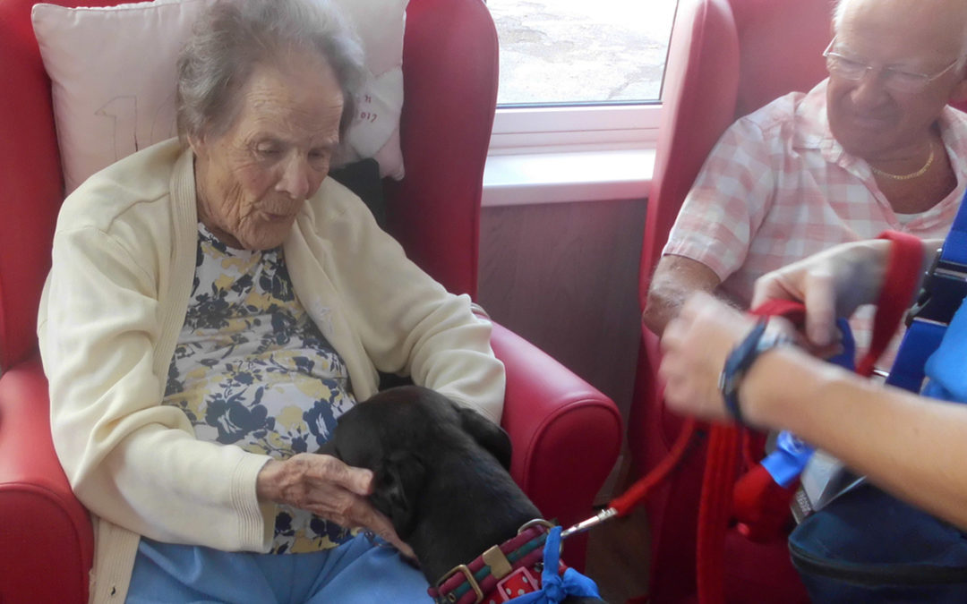 Pet Therapy with Trixie at Woodstock Residential Care Home