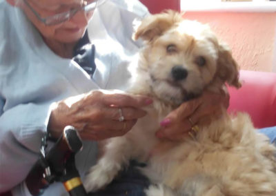 Puppy Mille with residents at Woodstock Residential Care Home 2