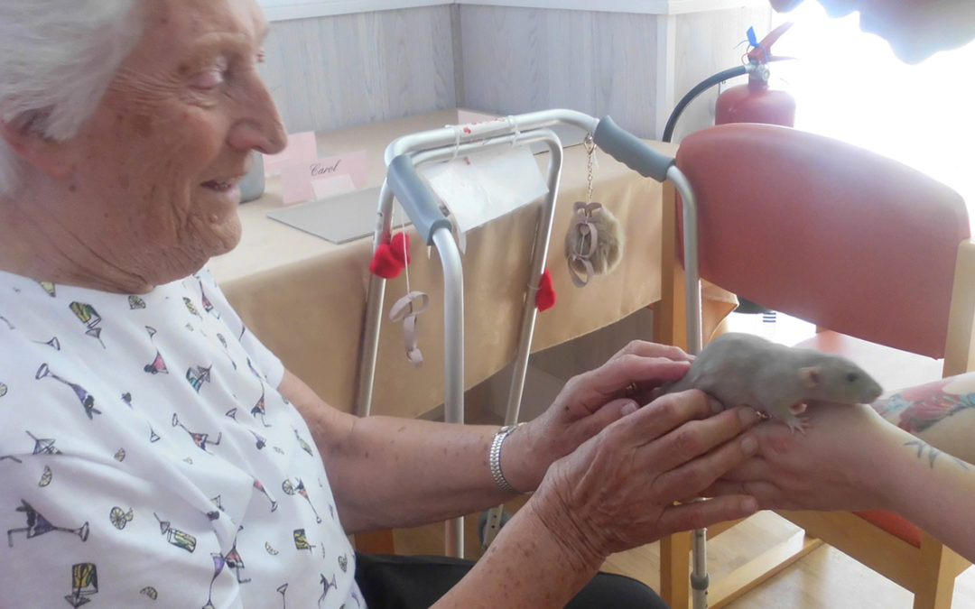 Exotic Pets Therapy at Woodstock Residential Care Home