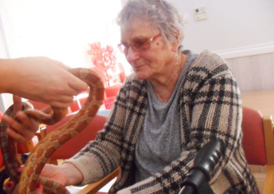 A resident meeting a Zoolab snake at Woodstock Residential Care Home