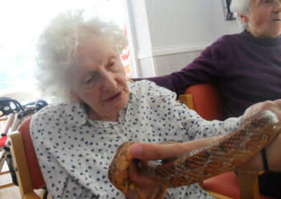 A resident up close with a Zoolab snake at Woodstock Residential Care Home