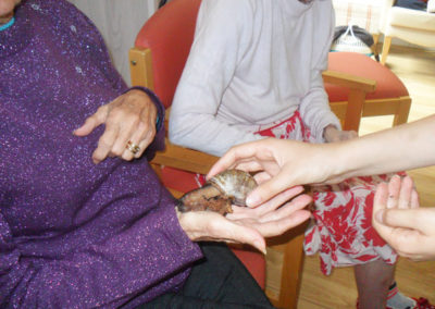 A resident with a giant African snail on her hand at Woodstock Residential Care Home