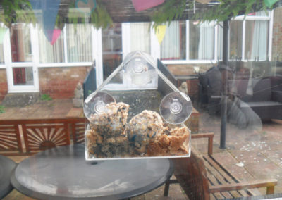 Window bird feeder with fat balls