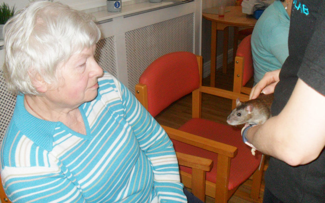 Animal encounters at Woodstock Residential Care Home