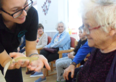 Lulworth House residents meeting a range of Zoolab creatures 3