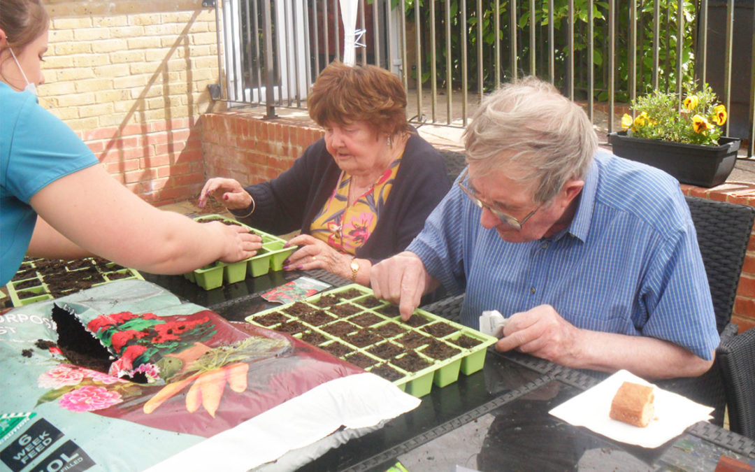Seed planting in the sun at Woodstock Residential Care Home