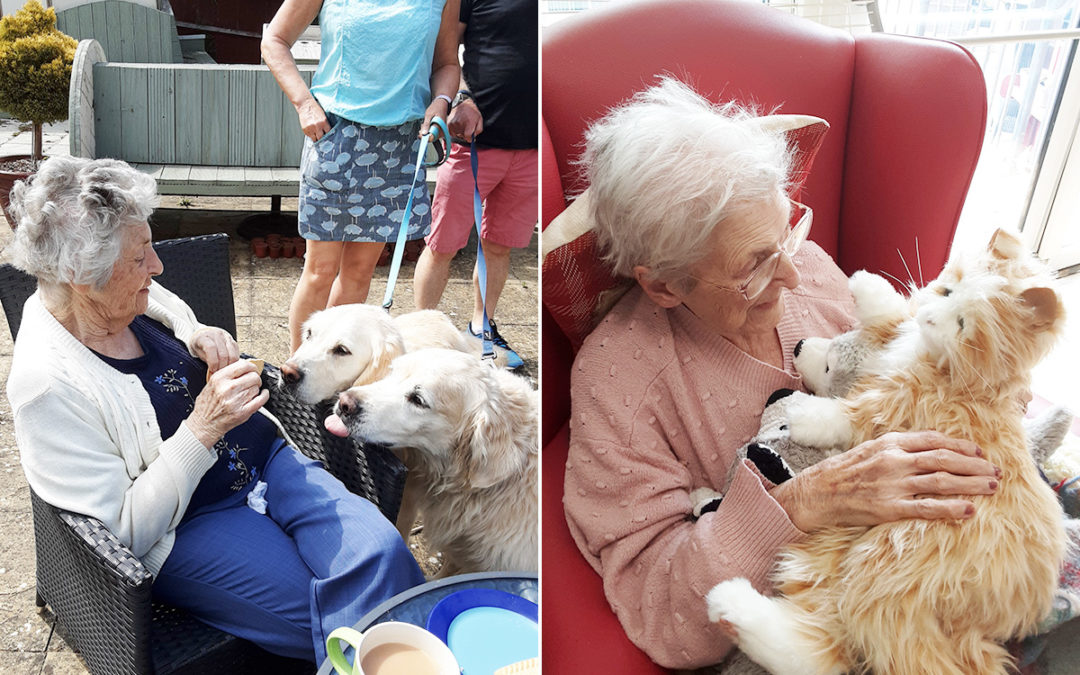 Woodstock Residential Care Home residents enjoy time with furry friends