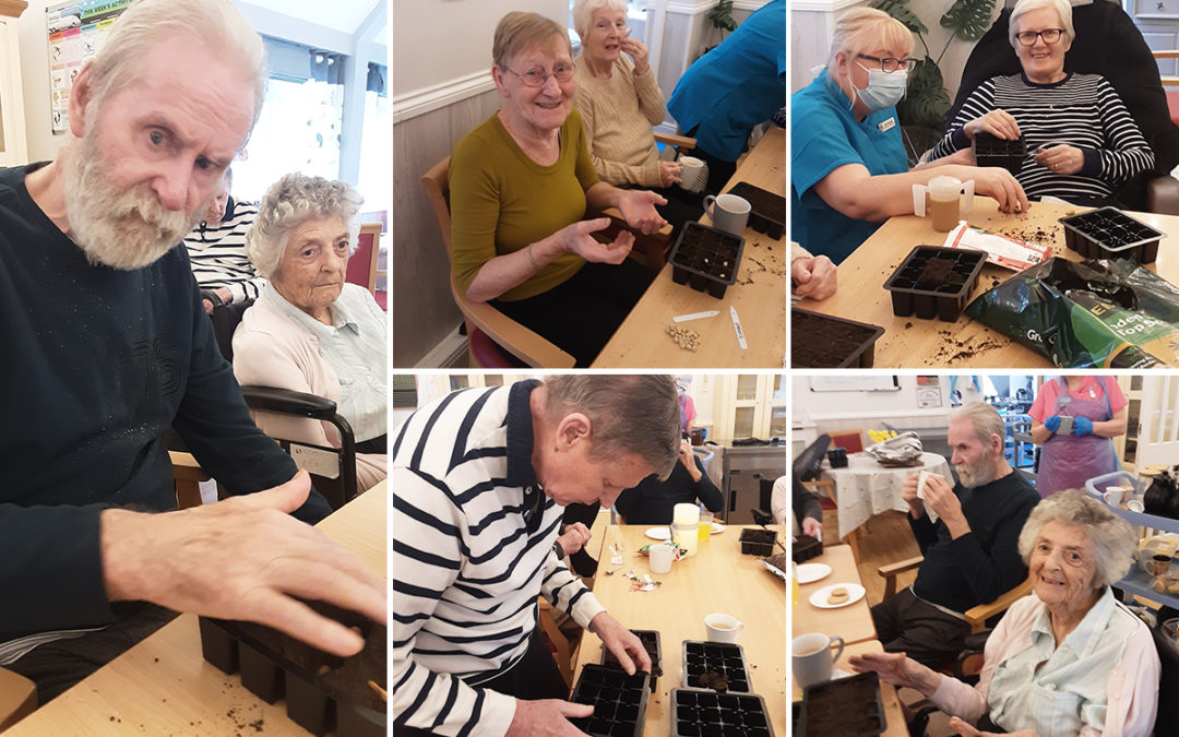 Seed planting session at Woodstock Residential Care Home
