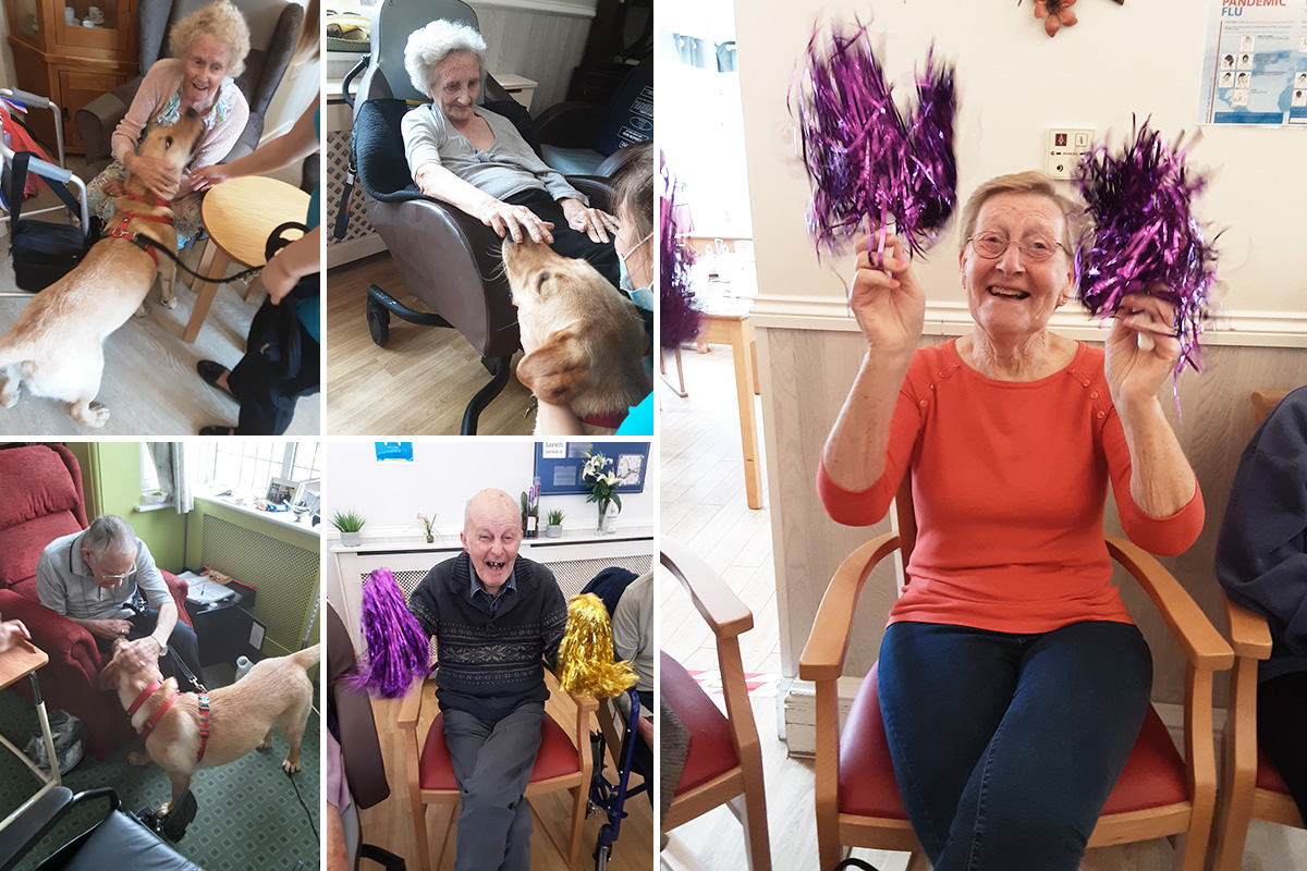 Dog therapy and exercises with Right Step at Woodstock Residential Care Home
