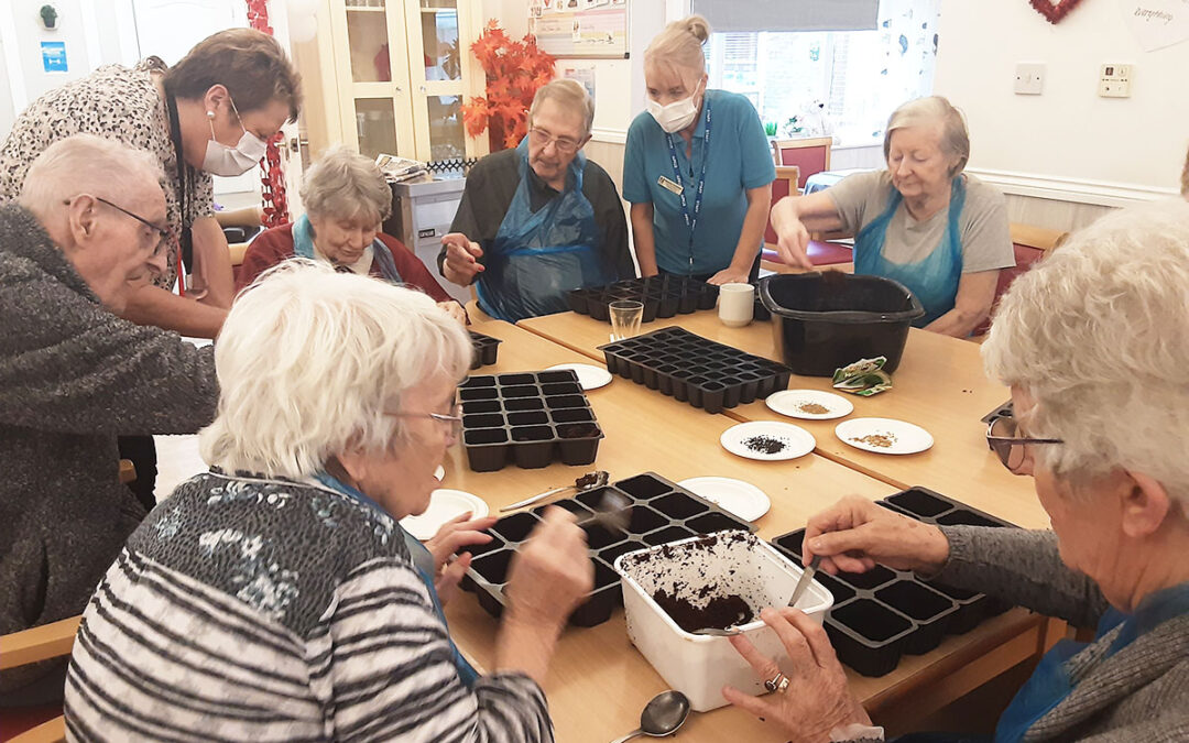 Gardening club seed planting at Woodstock Residential Care Home