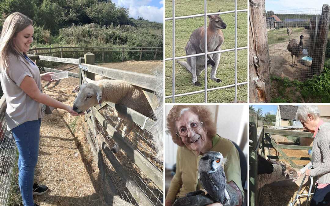 Woodstock Residential Care Home residents have fun at a farm