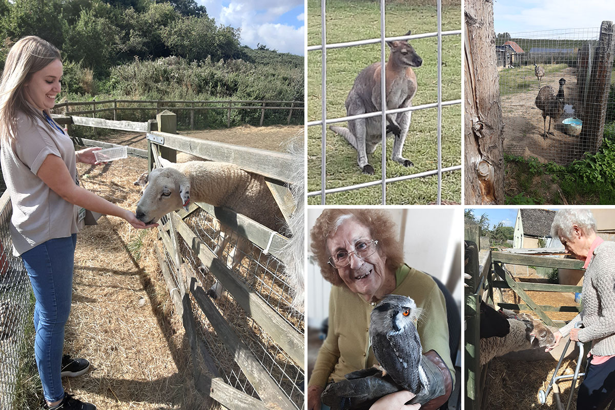 Woodstock Residential Care Home residents have fun at a farm