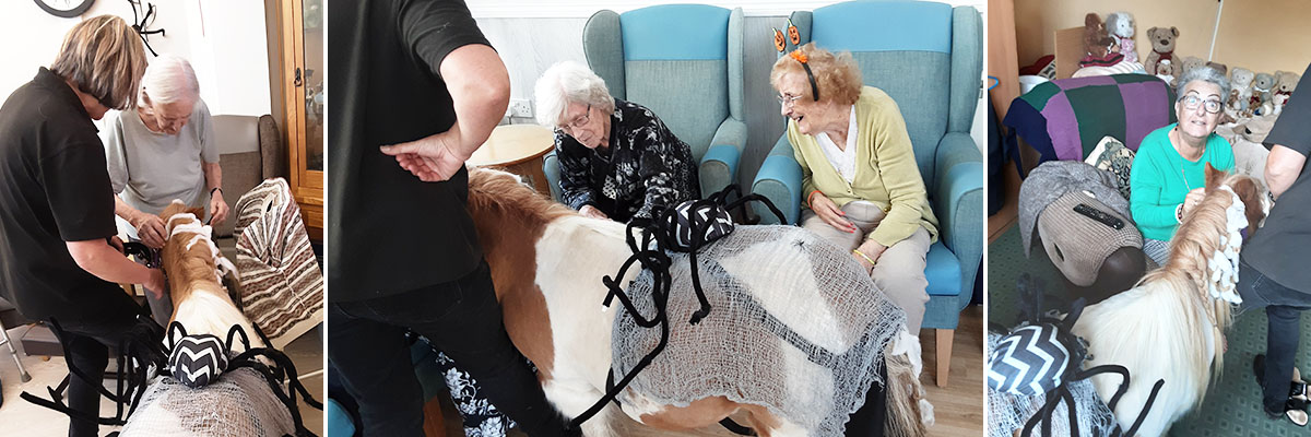 Dude the Shetland pony at Woodstock Residential Care Home