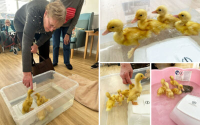 Easter ducklings at Woodstock Residential Care Home