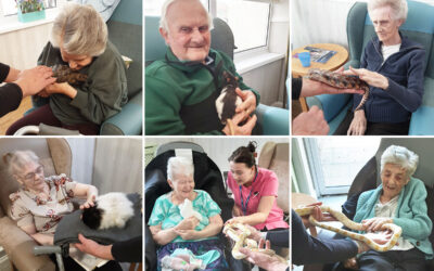 Woodstock Residential Care Home residents make some fascinating new friends