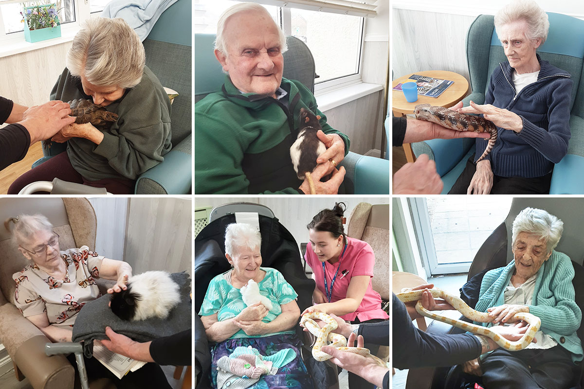 Woodstock Residential Care Home residents make some fascinating new friends