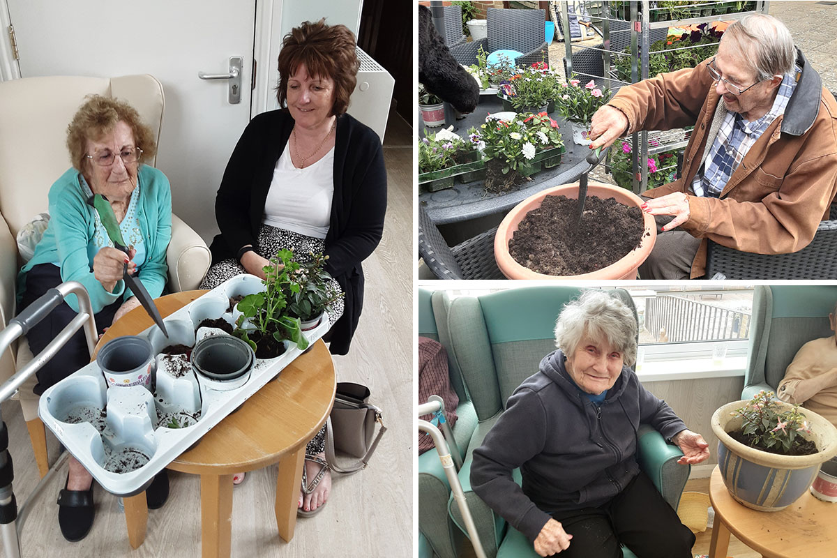 Woodstock Residential Care Home residents pot plants for the garden